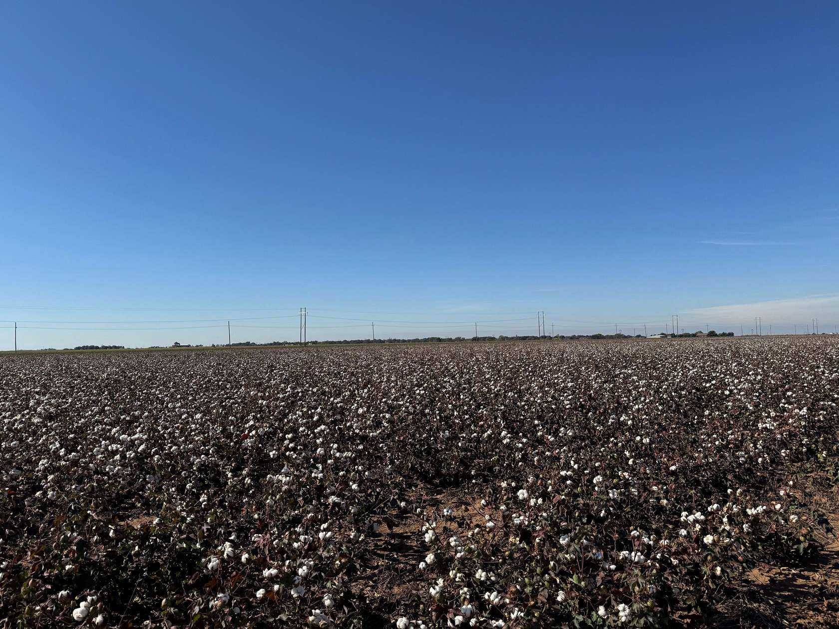 Land for Sale in Plainview, Texas