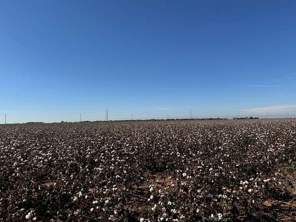 Land for Sale in Plainview, Texas