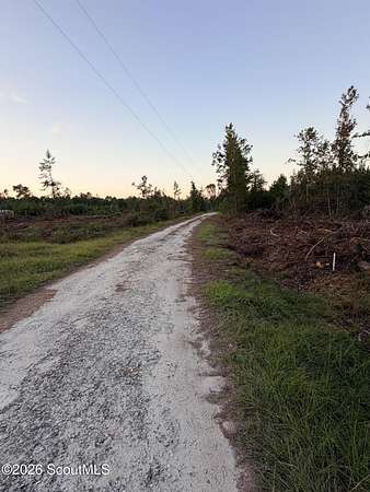 3.34 Acres of Land for Sale in Darien, Georgia