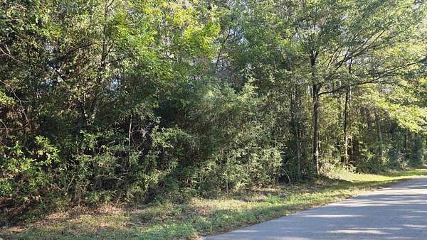 1 Acre of Residential Land for Sale in Buna, Texas