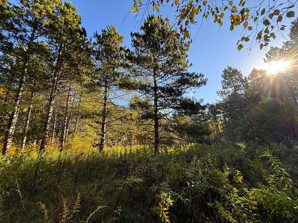 22.5 Acres of Recreational Land for Sale in Palisade, Minnesota