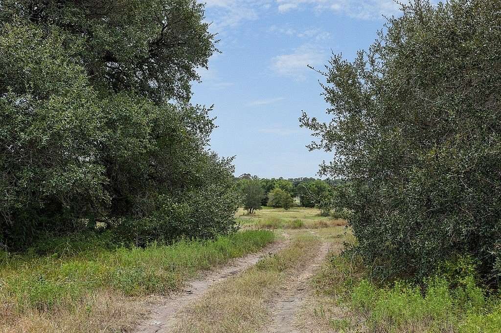16 Acres of Recreational & Residential Land for Sale in Fayetteville, Texas
