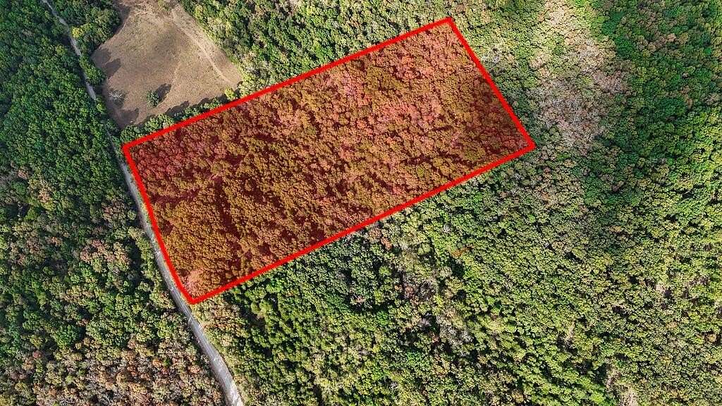 20 Acres of Recreational & Residential Land for Sale in Wasola, Missouri
