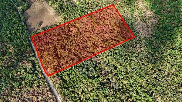 20 Acres of Recreational & Residential Land for Sale in Wasola, Missouri