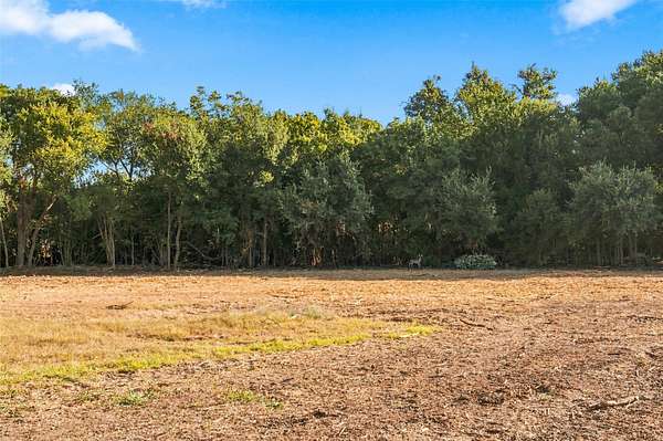 0.59 Acres of Residential Land for Sale in Clifton, Texas
