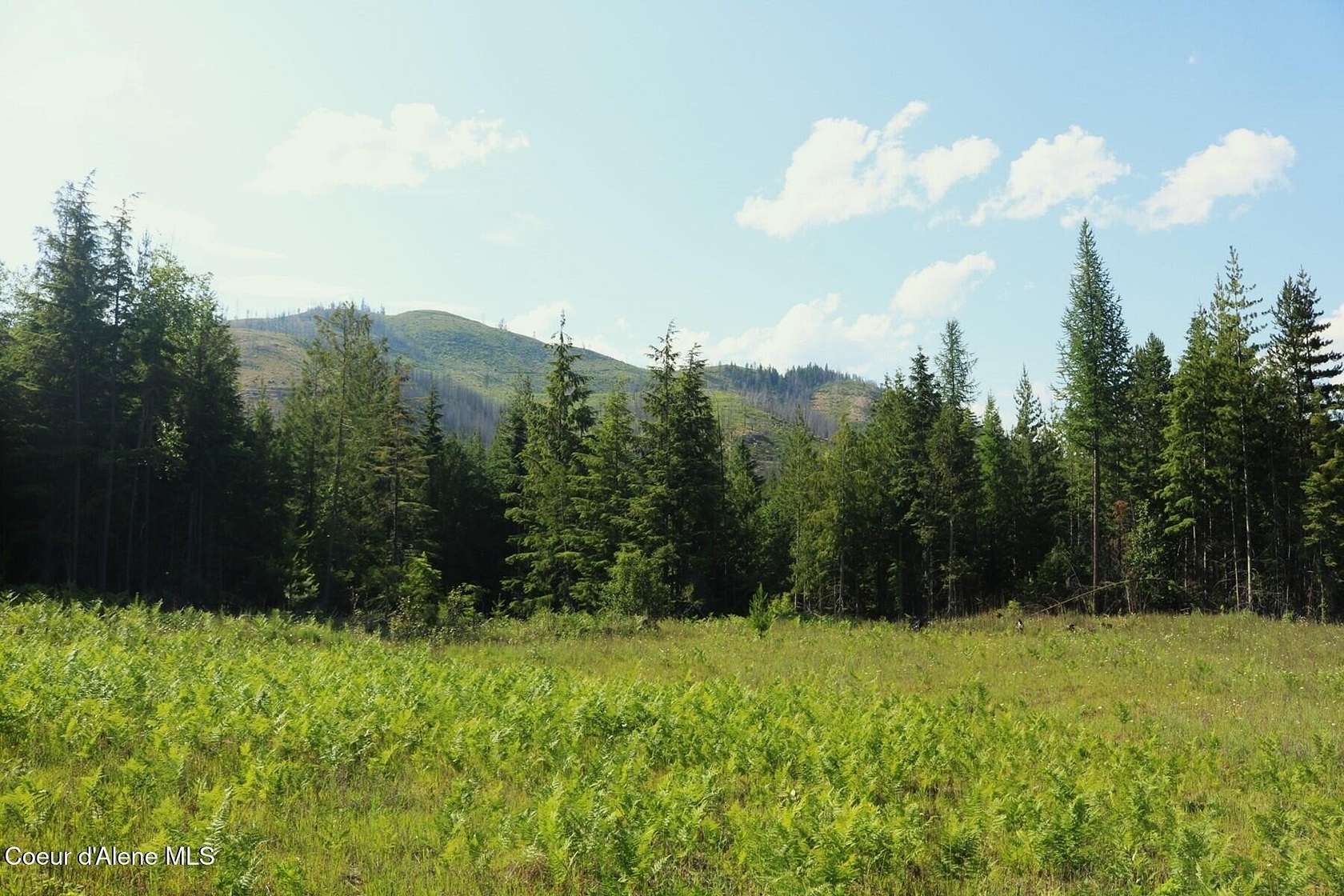 20 Acres of Recreational & Residential Land for Sale in Priest River, Idaho
