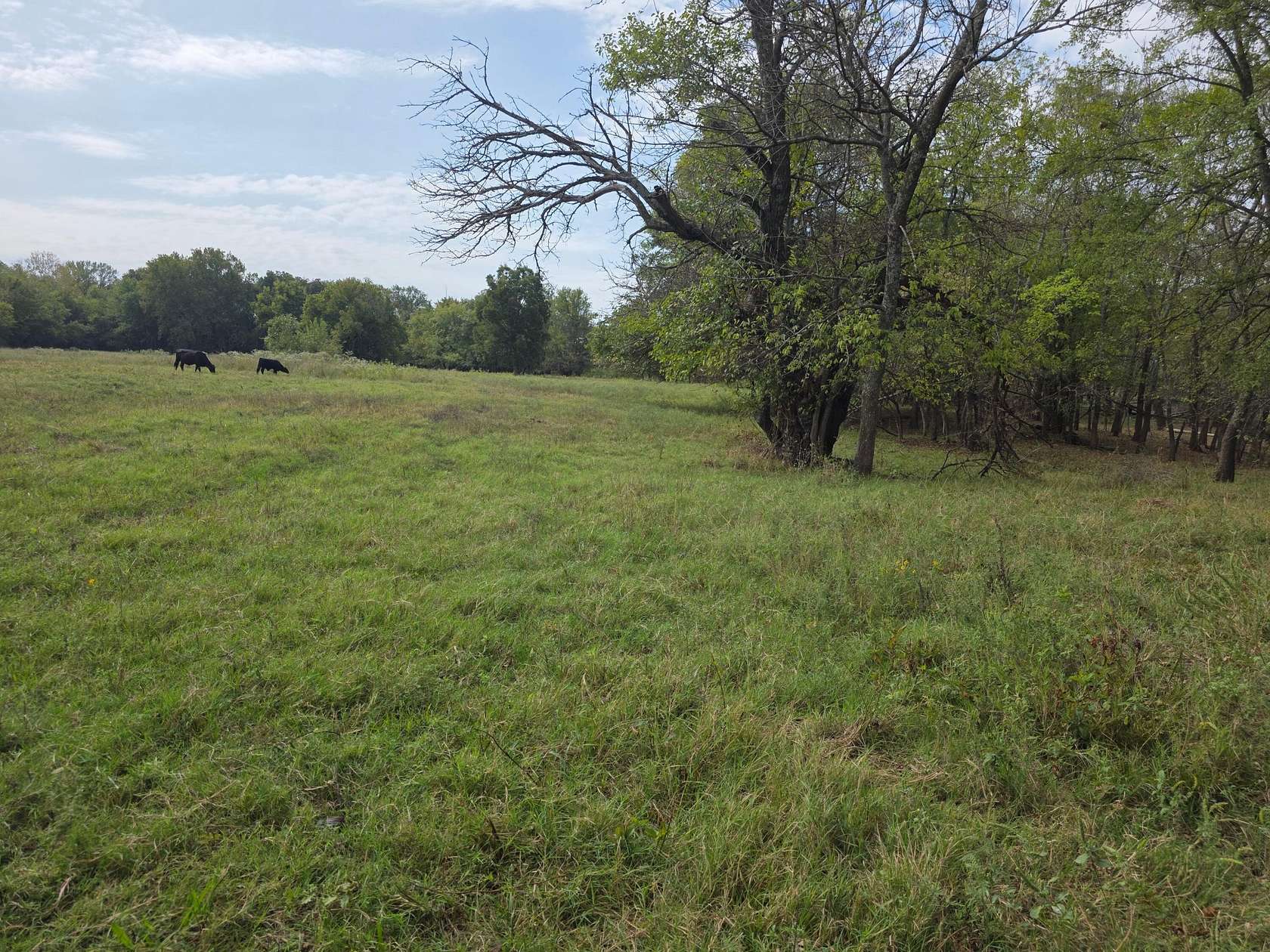 3 Acres of Residential Land for Sale in Cleora, Oklahoma