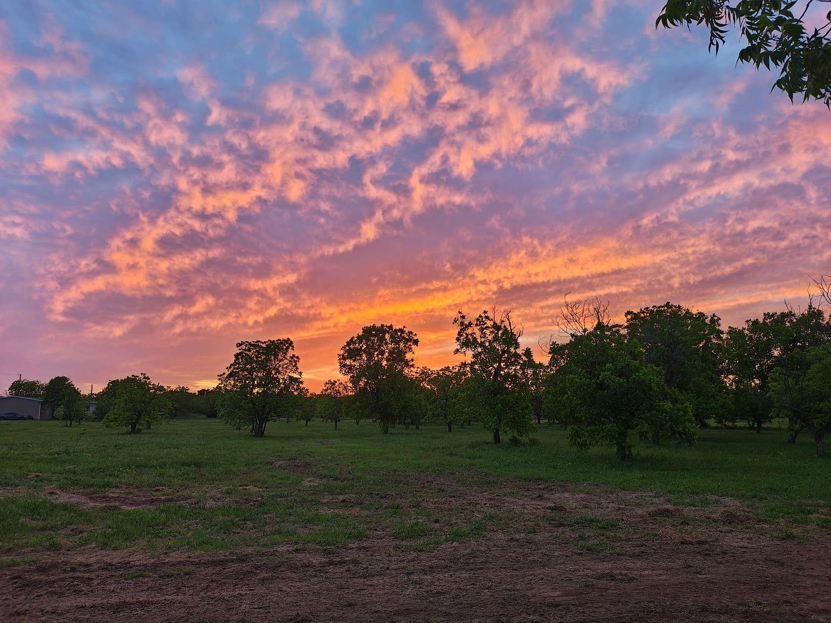 7.82 Acres of Land with Home for Sale in Clyde, Texas