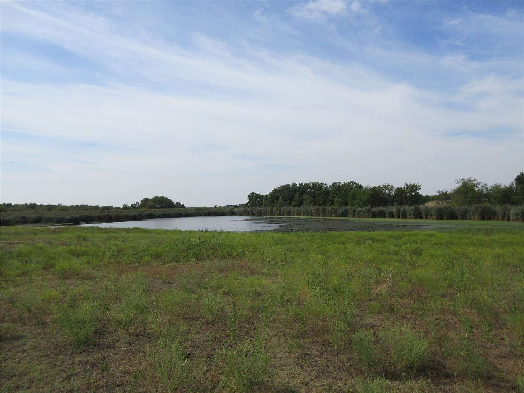 19.3 Acres of Land for Sale in Leonard, Texas