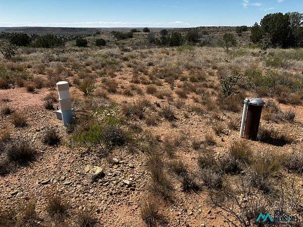 20 Acres of Land for Sale in Lake Sumner, New Mexico