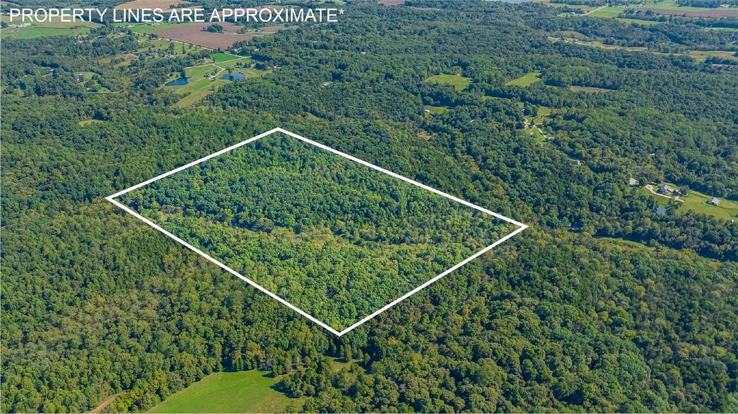 59 Acres of Land for Sale in Dillsboro, Indiana