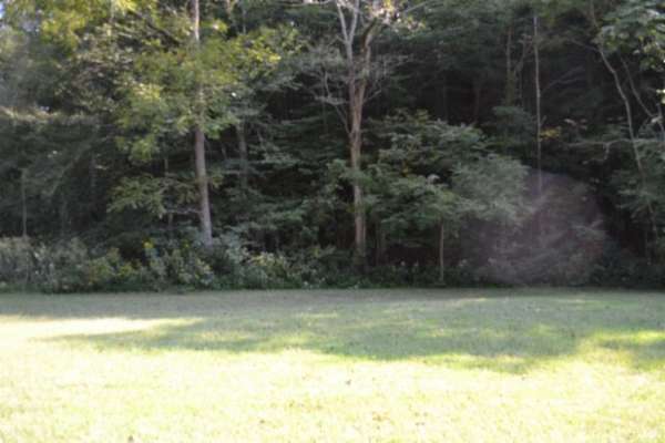 56 Acres of Land for Sale in Celina, Tennessee