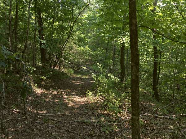 56 Acres of Land for Sale in Celina, Tennessee