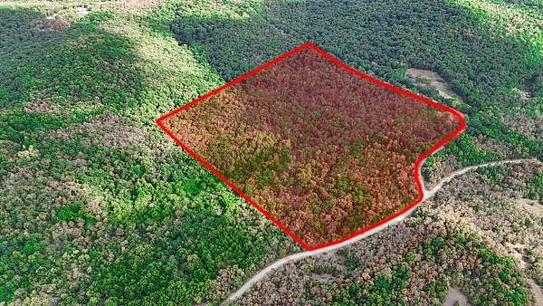 44.3 Acres of Recreational & Residential Land for Sale in Wasola, Missouri