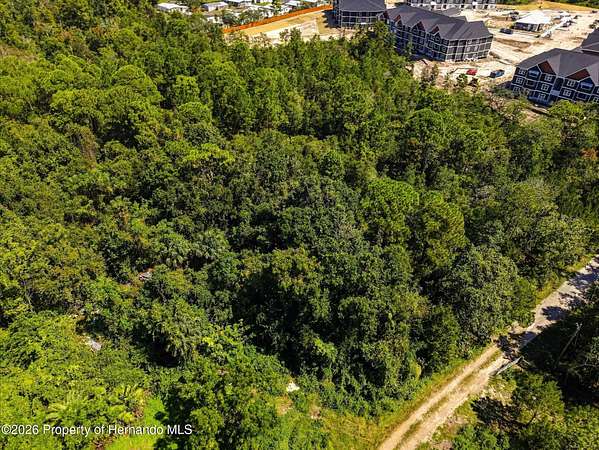 5 Acres of Residential Land for Sale in Spring Hill, Florida