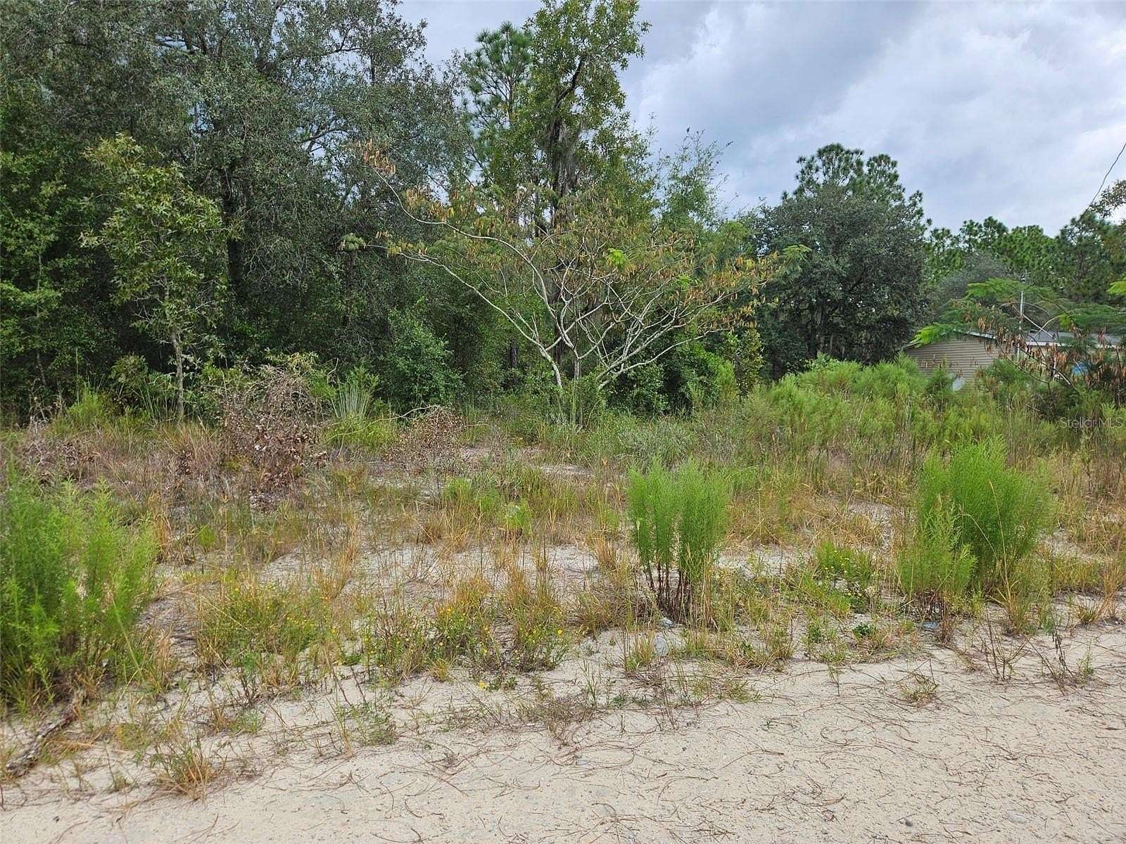 0.24 Acres of Land for Sale in Bronson, Florida