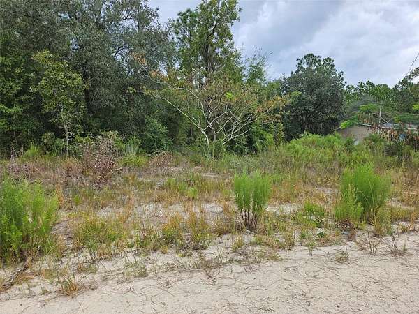 0.24 Acres of Land for Sale in Bronson, Florida