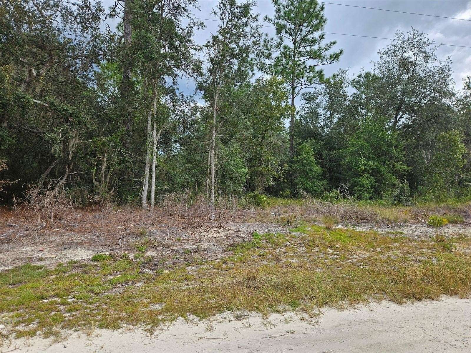 0.24 Acres of Land for Sale in Bronson, Florida