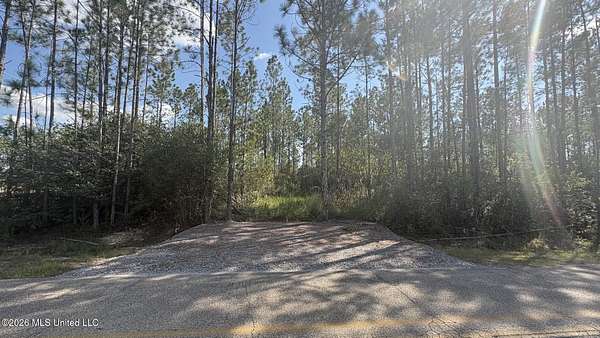 24.2 Acres of Recreational & Residential Land for Sale in Saucier, Mississippi