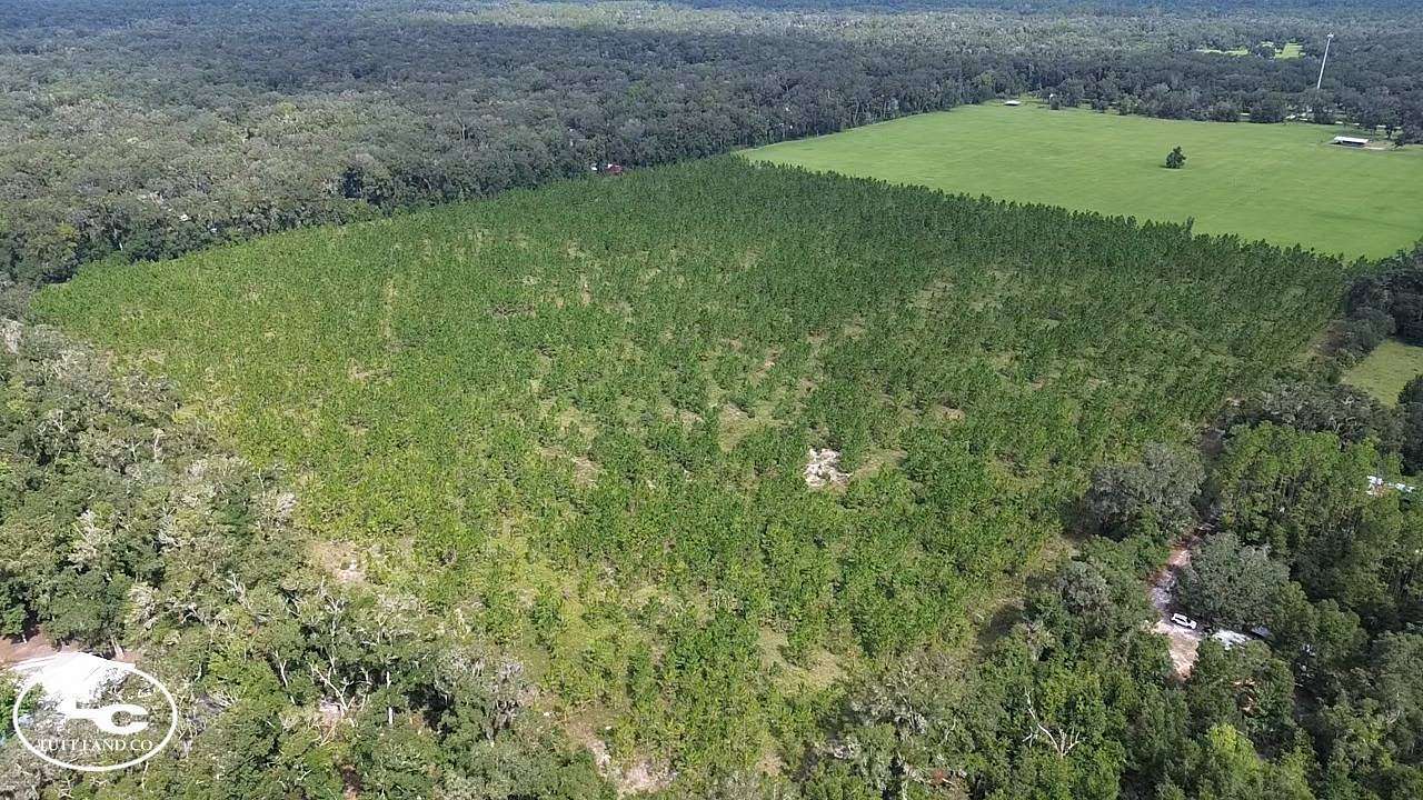 40 Acres of Land for Sale in Old Town, Florida
