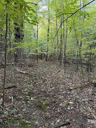 6.2 Acres of Residential Land for Sale in Morrisonville, New York