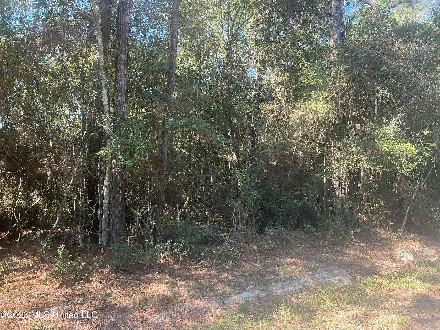 2.9 Acres of Residential Land for Sale in Pass Christian, Mississippi