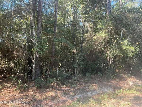 2.9 Acres of Residential Land for Sale in Pass Christian, Mississippi