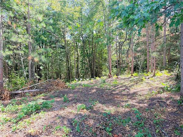 10 Acres of Recreational & Residential Land for Sale in Ladysmith, Wisconsin