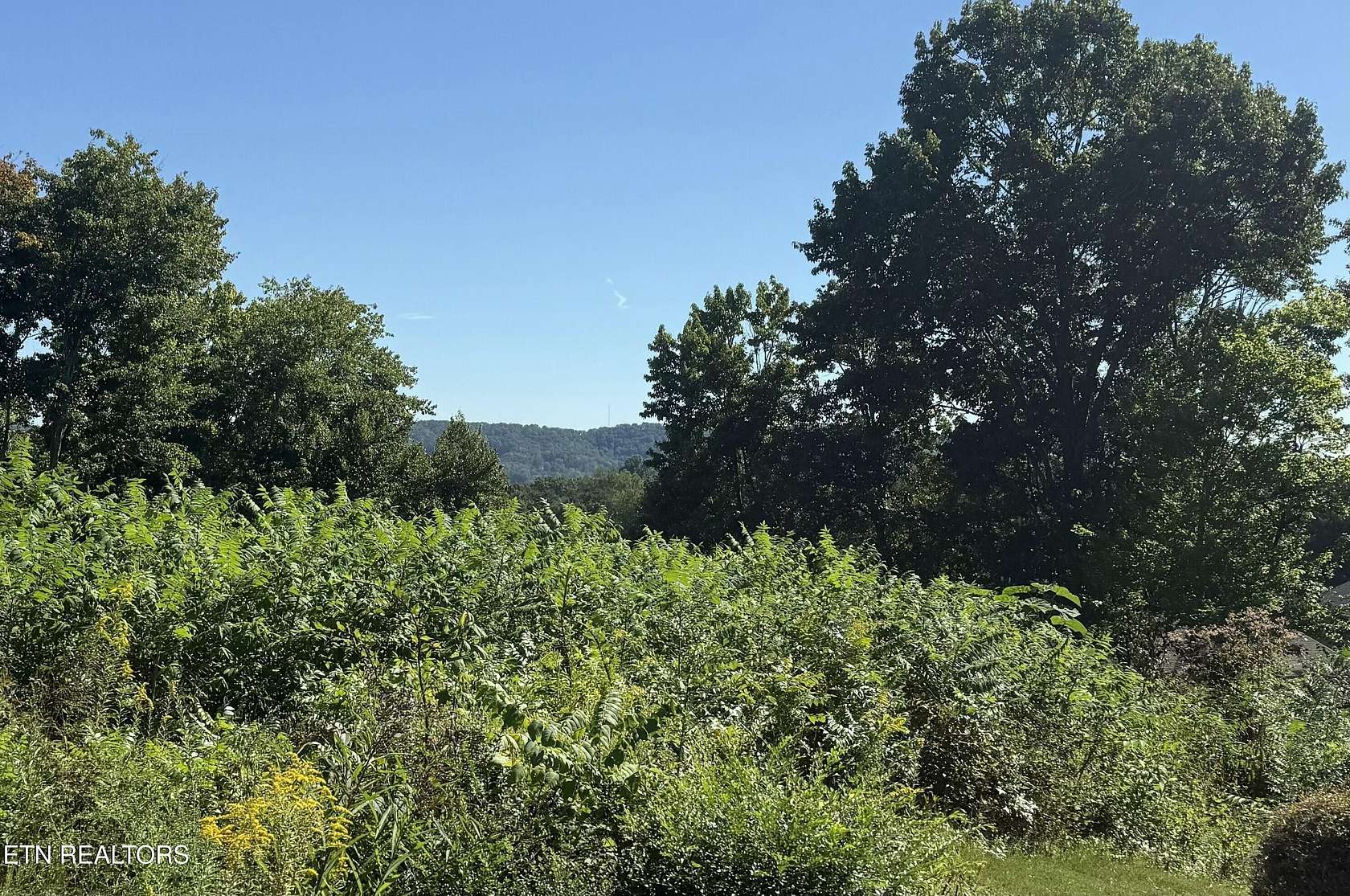 0.4 Acres of Residential Land for Sale in Knoxville, Tennessee