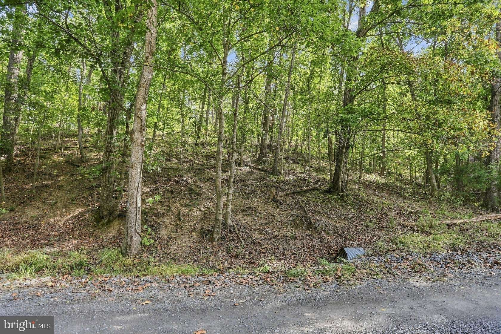 4.64 Acres of Residential Land for Sale in Maurertown, Virginia