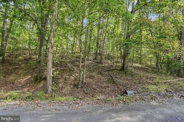4.64 Acres of Residential Land for Sale in Maurertown, Virginia