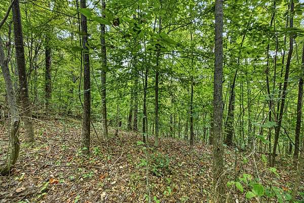 3.27 Acres of Residential Land for Sale in Celina, Tennessee