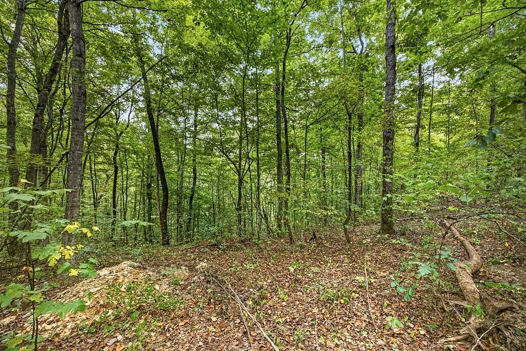 5 Acres of Residential Land for Sale in Celina, Tennessee
