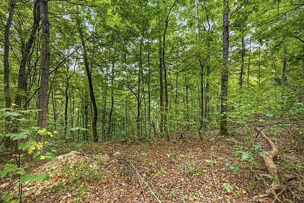 5 Acres of Residential Land for Sale in Celina, Tennessee