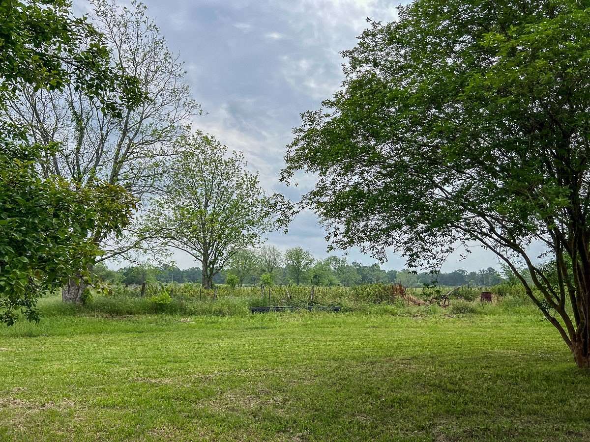 19 Acres of Agricultural Land for Sale in Lovelady, Texas