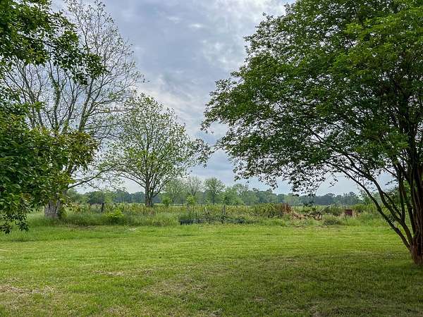 19 Acres of Agricultural Land for Sale in Lovelady, Texas