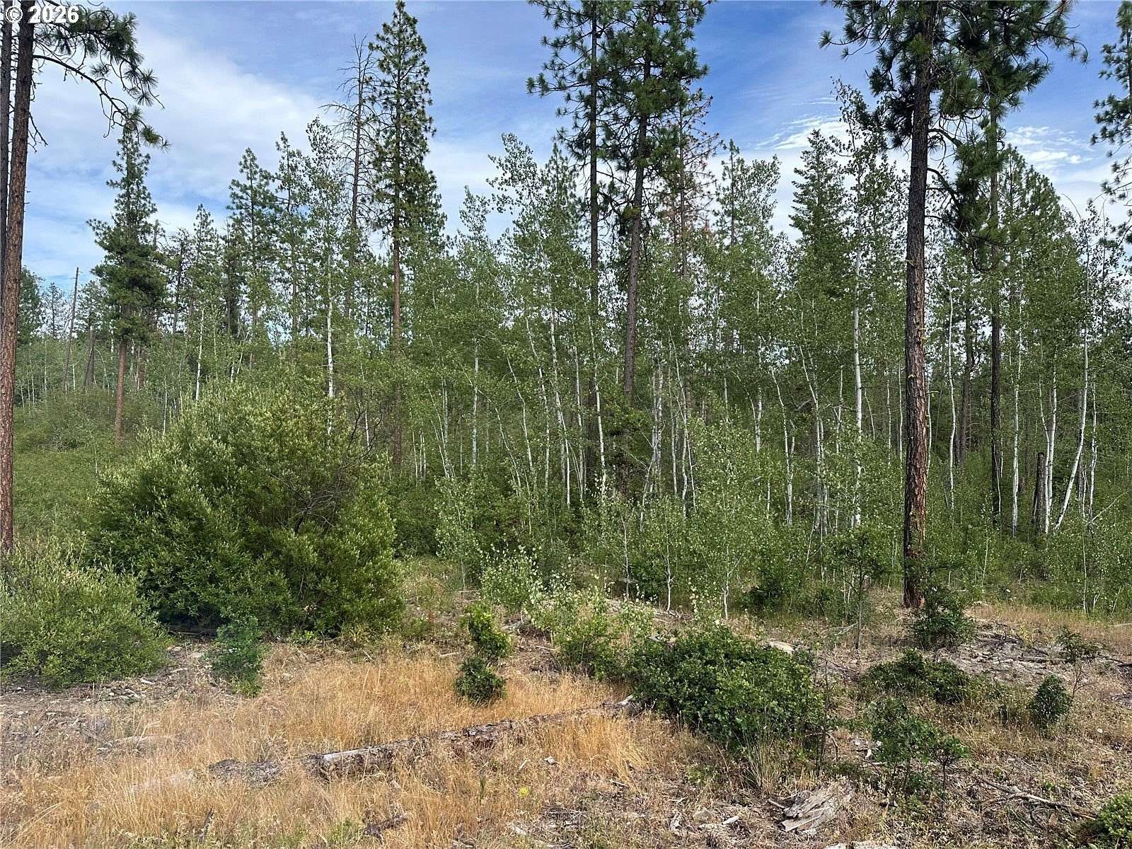 80 Acres of Recreational Land for Sale in Goldendale, Washington
