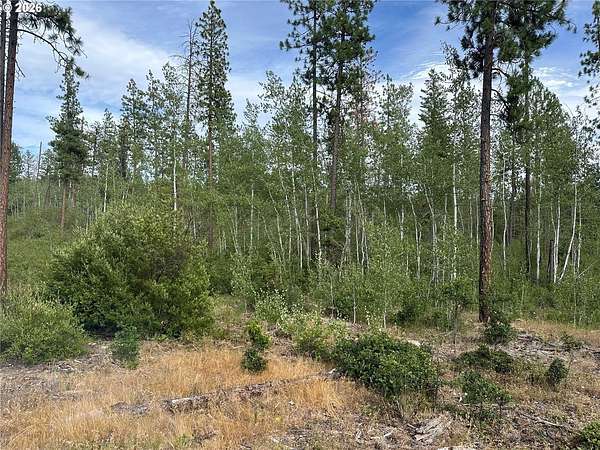 80 Acres of Recreational Land for Sale in Goldendale, Washington