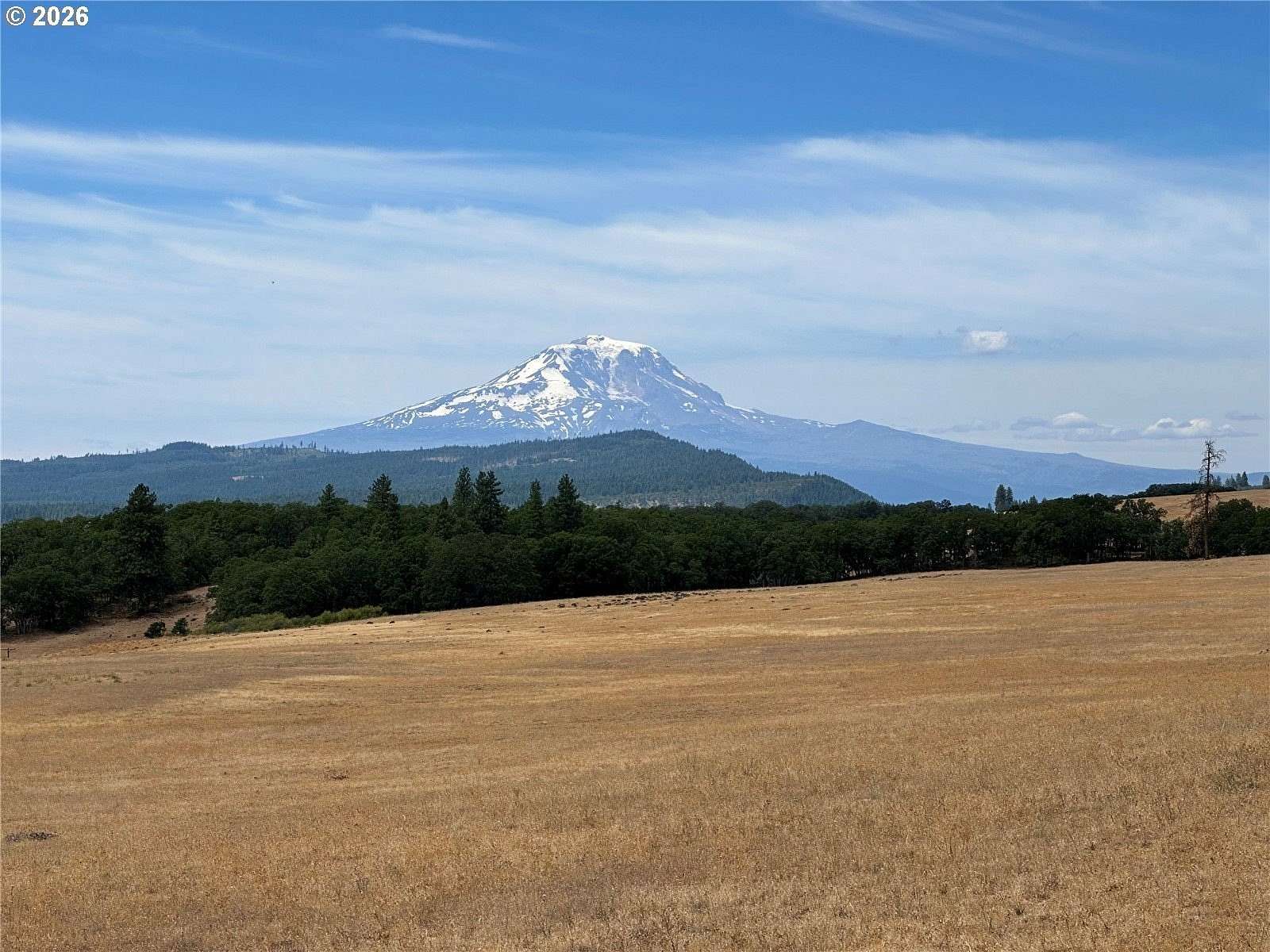 80 Acres of Land for Sale in Goldendale, Washington