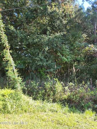 0.18 Acres of Residential Land for Sale in Burgaw, North Carolina