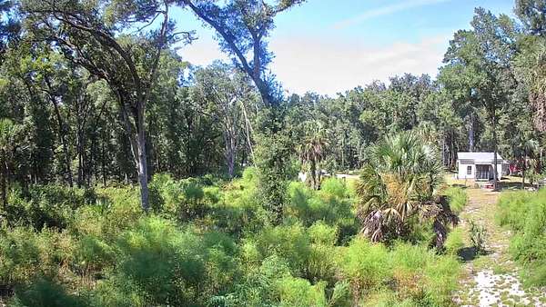 0.56 Acres of Residential Land for Sale in Crawfordville, Florida