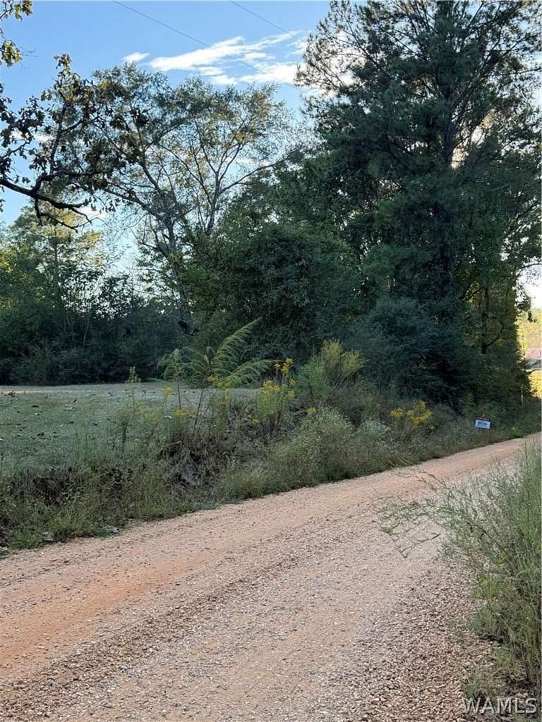 10 Acres of Land for Sale in Gordo, Alabama