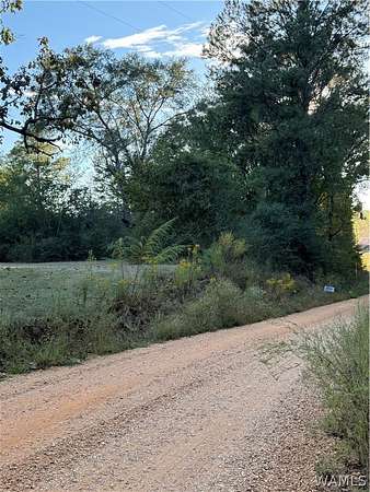 10 Acres of Land for Sale in Gordo, Alabama