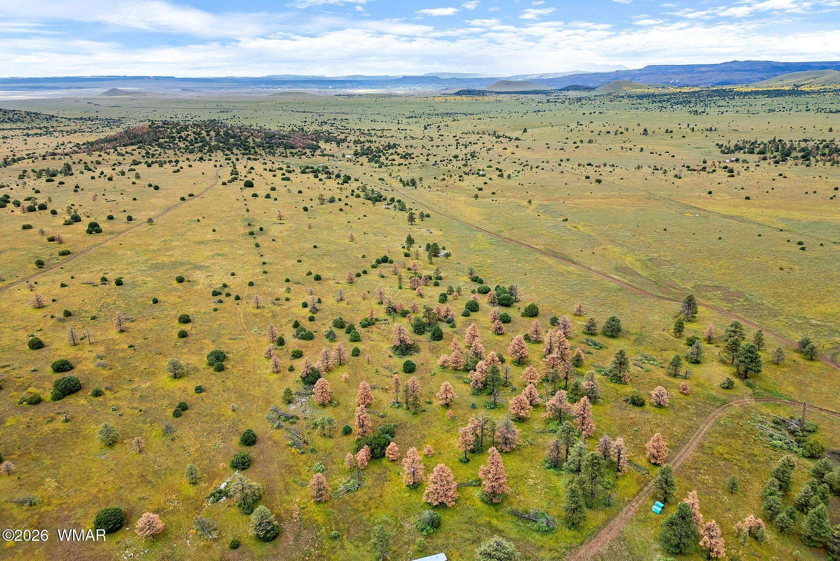40.9 Acres of Recreational & Residential Land for Sale in Greer, Arizona