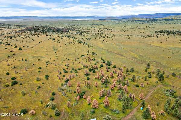 40.9 Acres of Recreational & Residential Land for Sale in Greer, Arizona