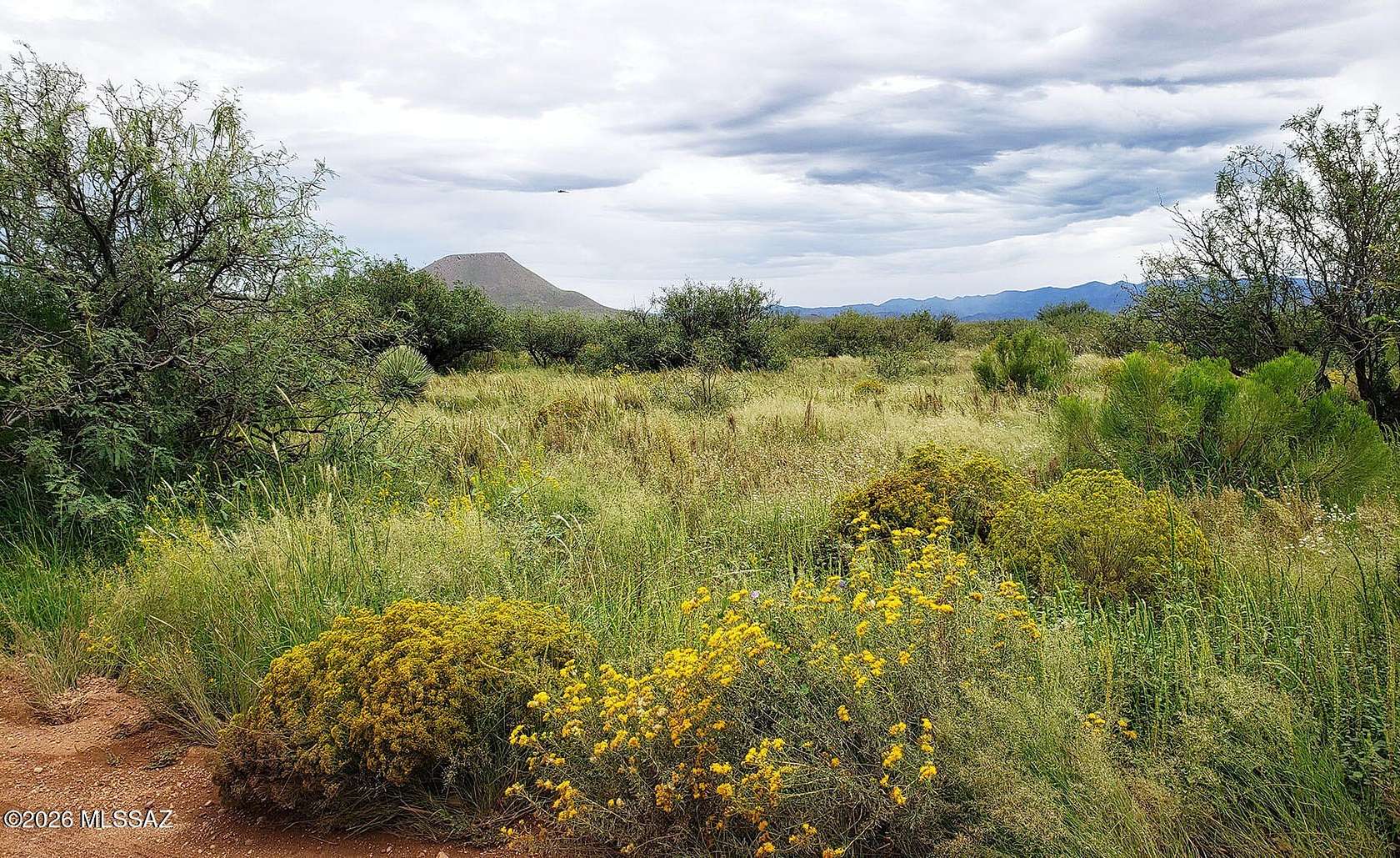 2.53 Acres of Residential Land for Sale in Elfrida, Arizona