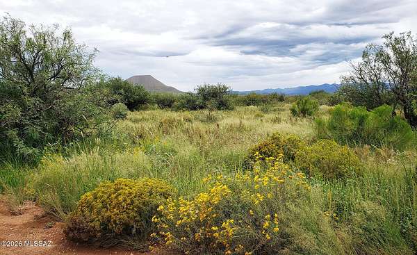 2.53 Acres of Residential Land for Sale in Elfrida, Arizona