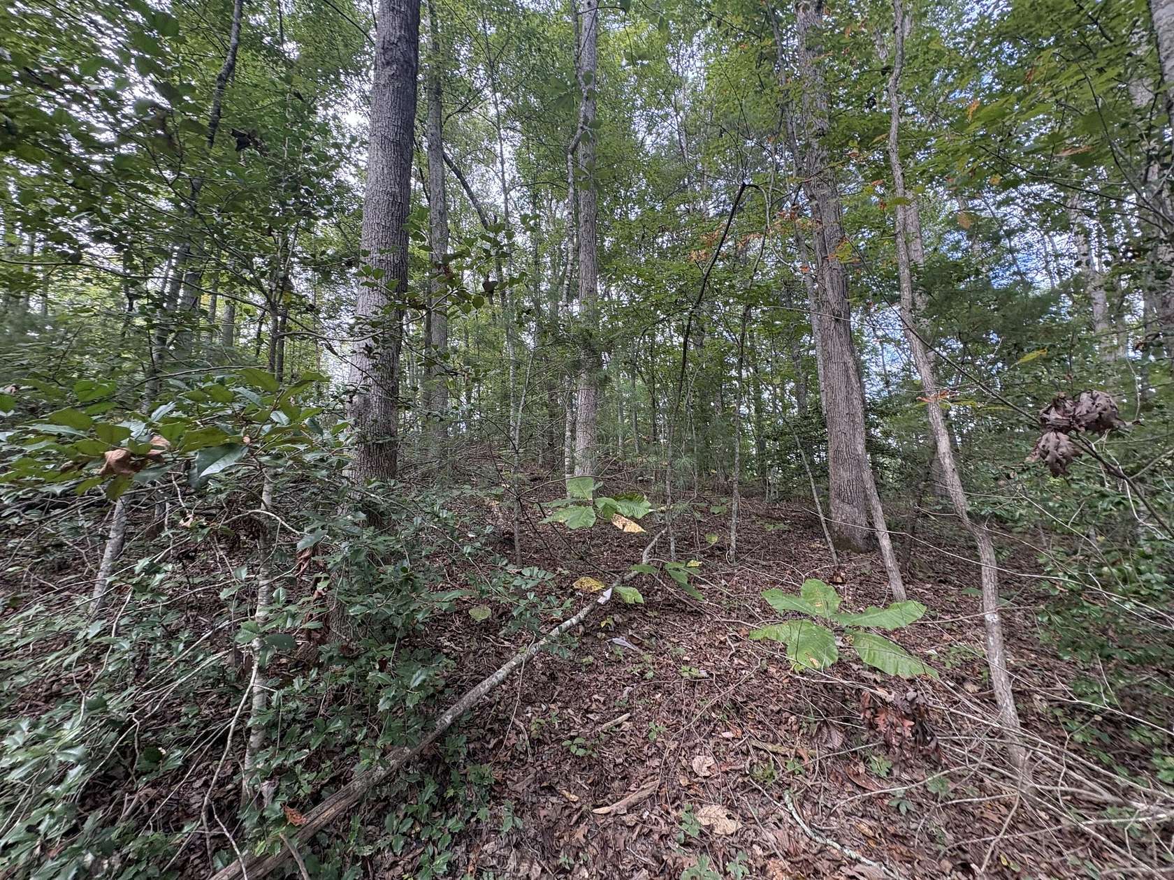 0.67 Acres of Land for Sale in Rogers, Kentucky