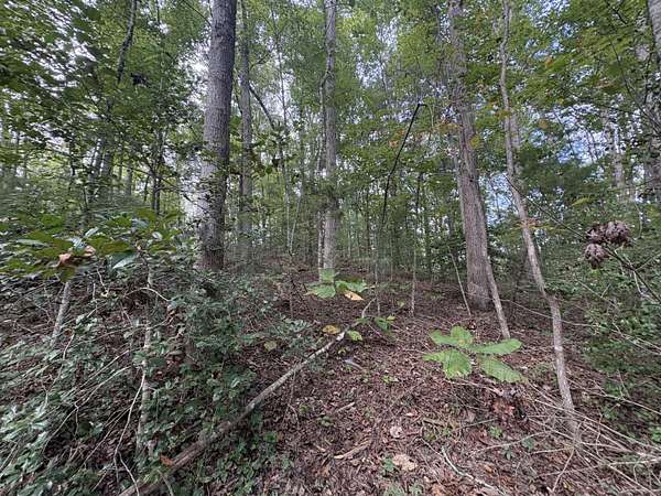 0.67 Acres of Land for Sale in Rogers, Kentucky