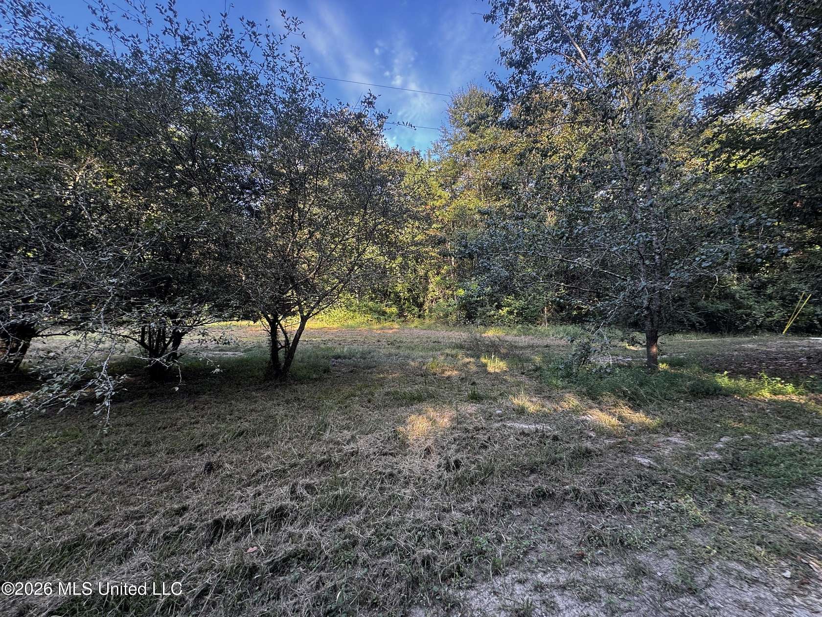 9.25 Acres of Land for Sale in Picayune, Mississippi